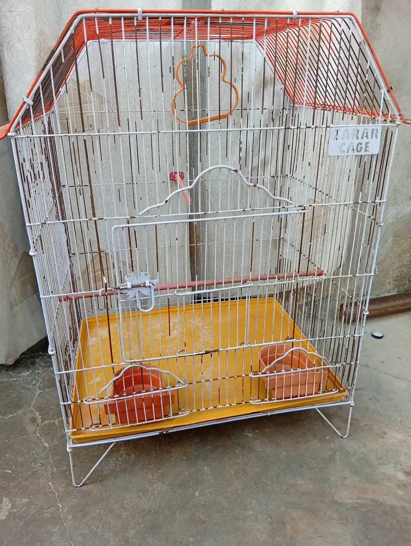 cages — photo 6