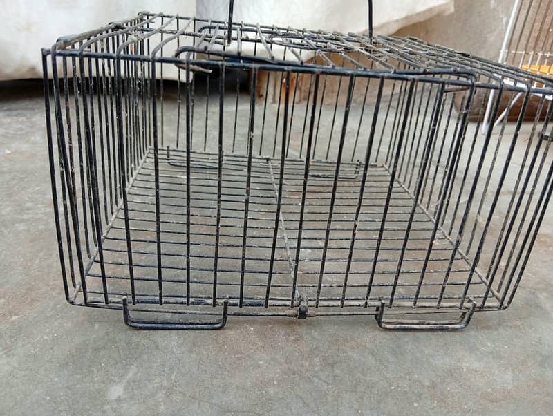 cages 13
