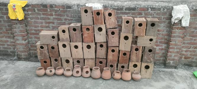 Love bird box for sale