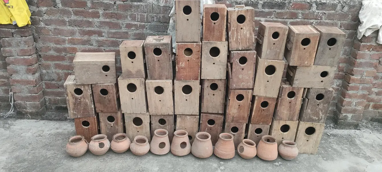 Love bird box for sale — photo 2