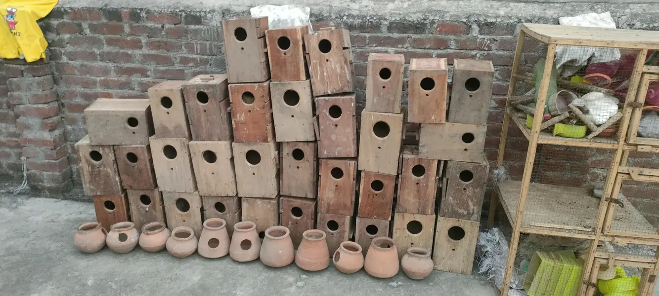 Love bird box for sale — photo 3