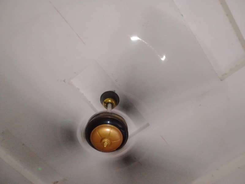 indus fan 2