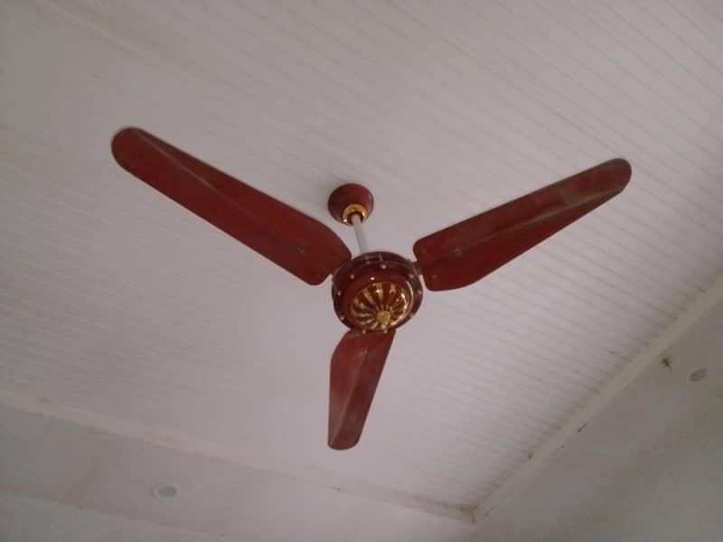 indus fan 4