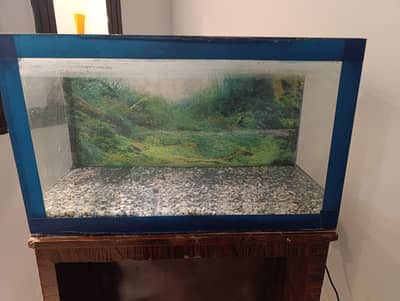 Fish tank with free decoration stones without rack