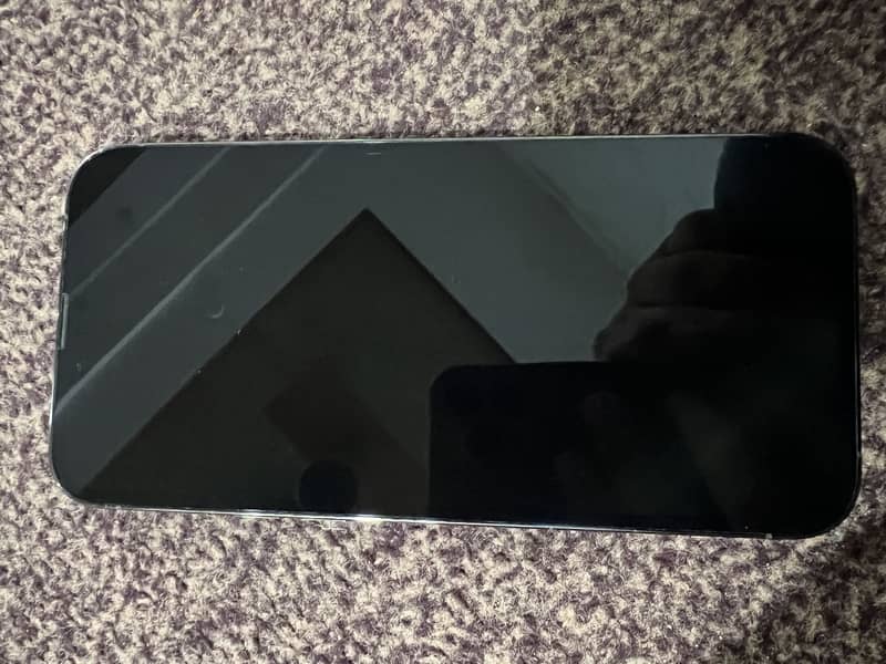 Apple iPhone 13 Pro Max 2