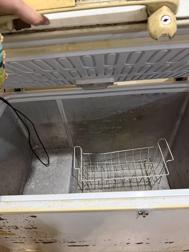 waves usd Freezer 1
