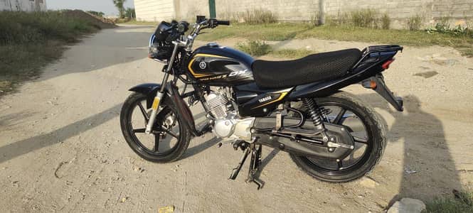 yb125zDx