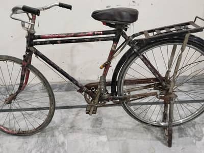 cycle sale
