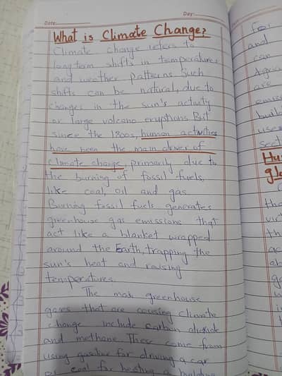 Assignment writer