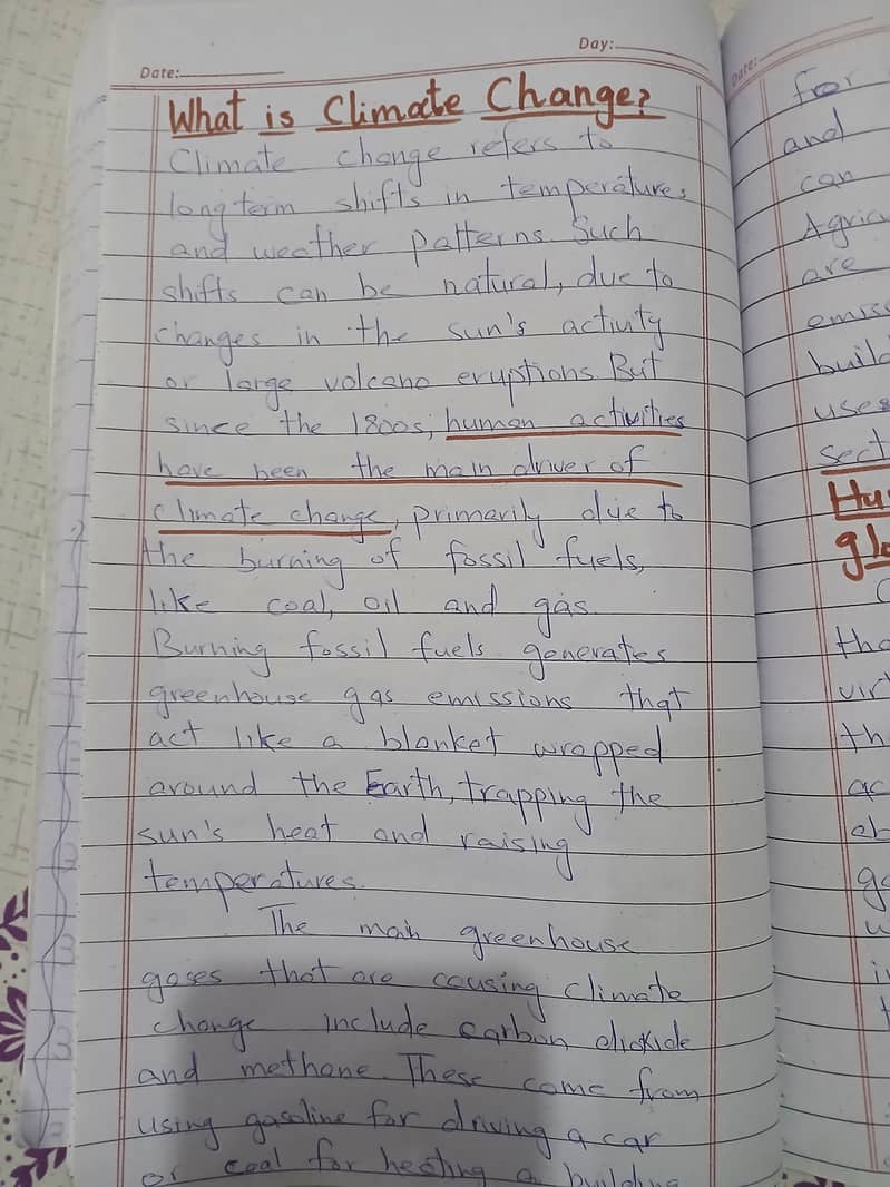 Assignment writer 0