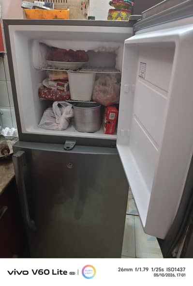HRF246 hier refrigerator