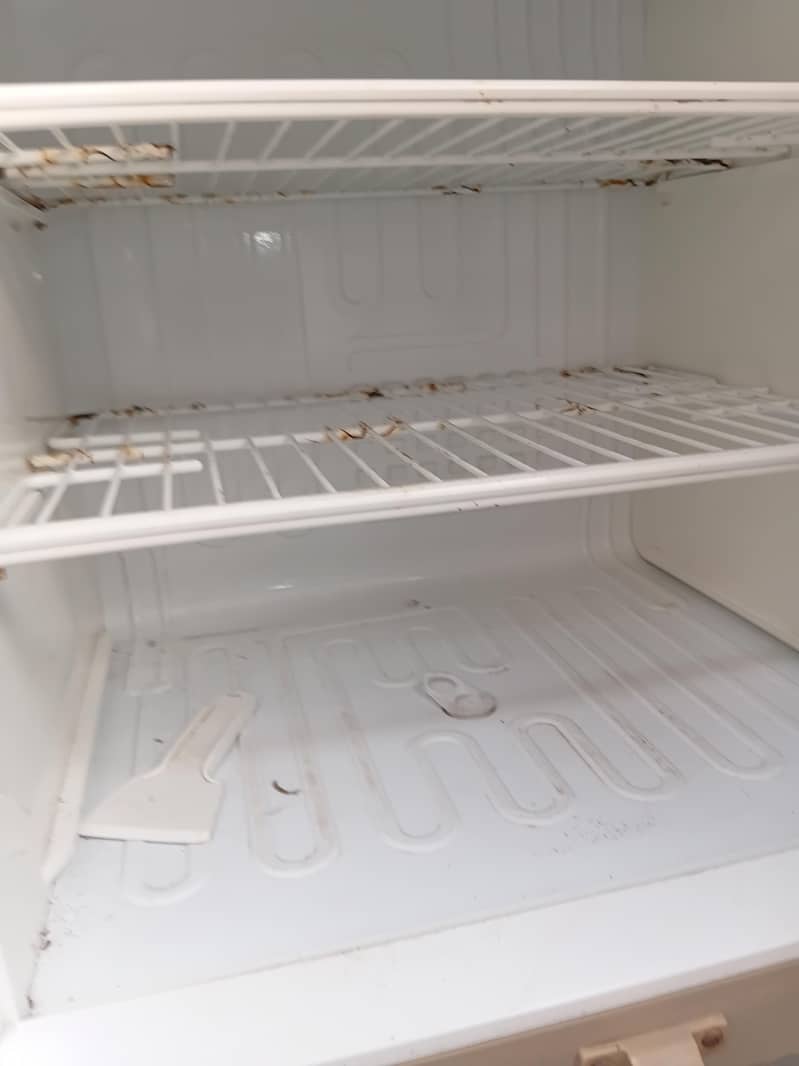 pel refrigerator 1