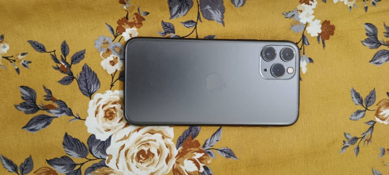 Apple iPhone 11 Pro 1