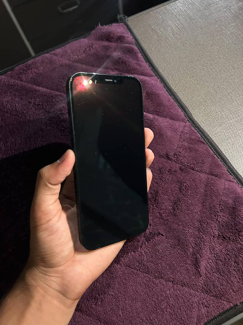 Apple iPhone 12 Pro Max 1