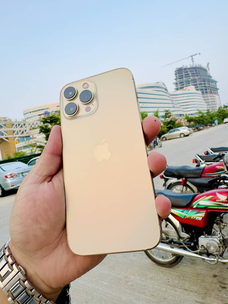 Apple iPhone 13 Pro Max 1