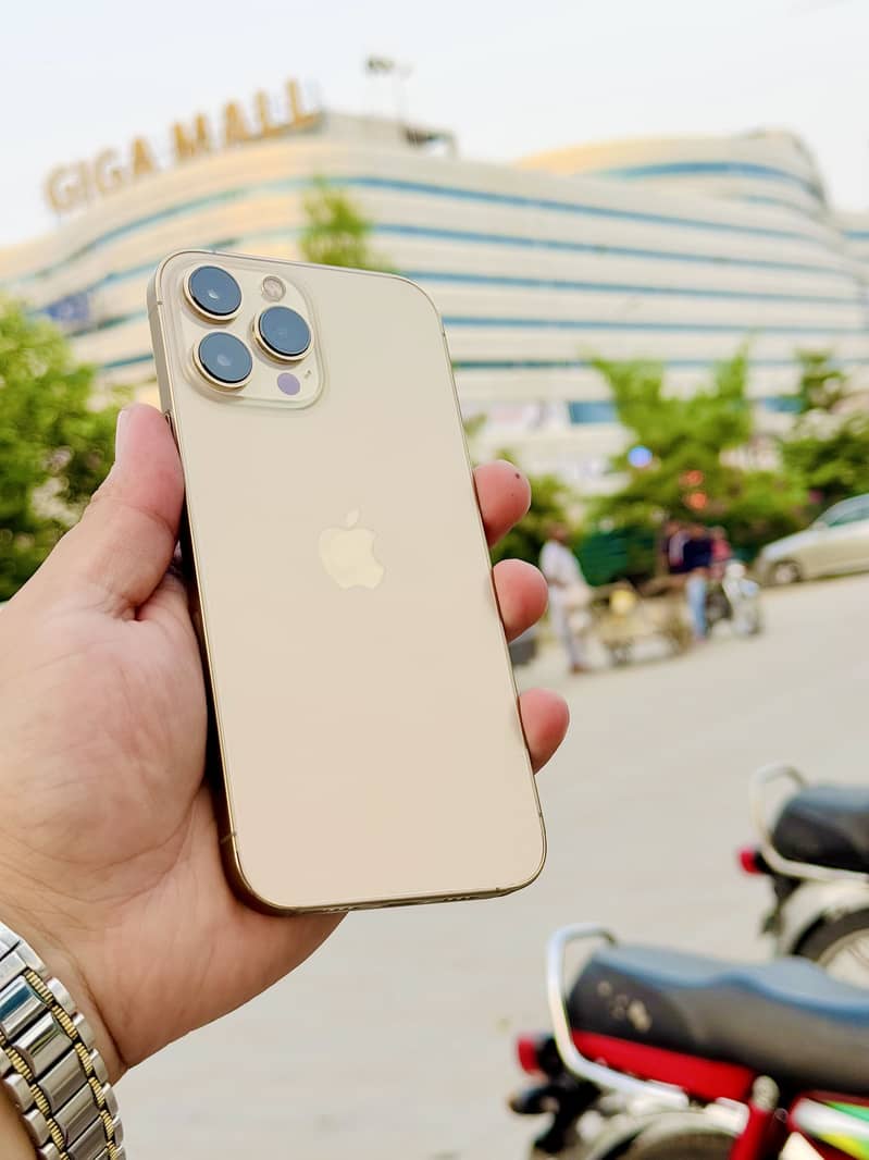 Apple iPhone 13 Pro Max 2