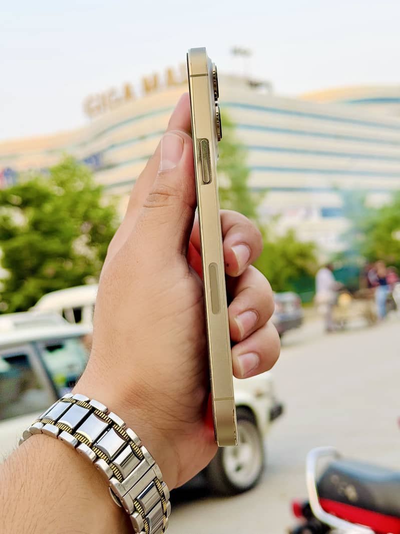 Apple iPhone 13 Pro Max 4