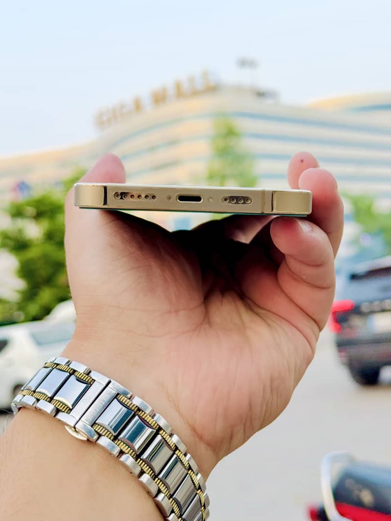 Apple iPhone 13 Pro Max 5