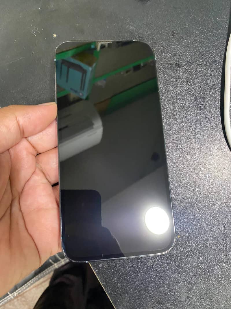 Apple iPhone 13 Pro Max 1