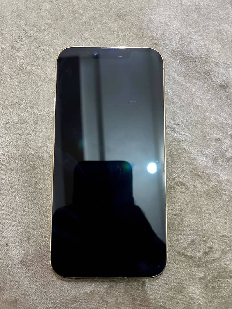 Apple iPhone 13 Pro 1