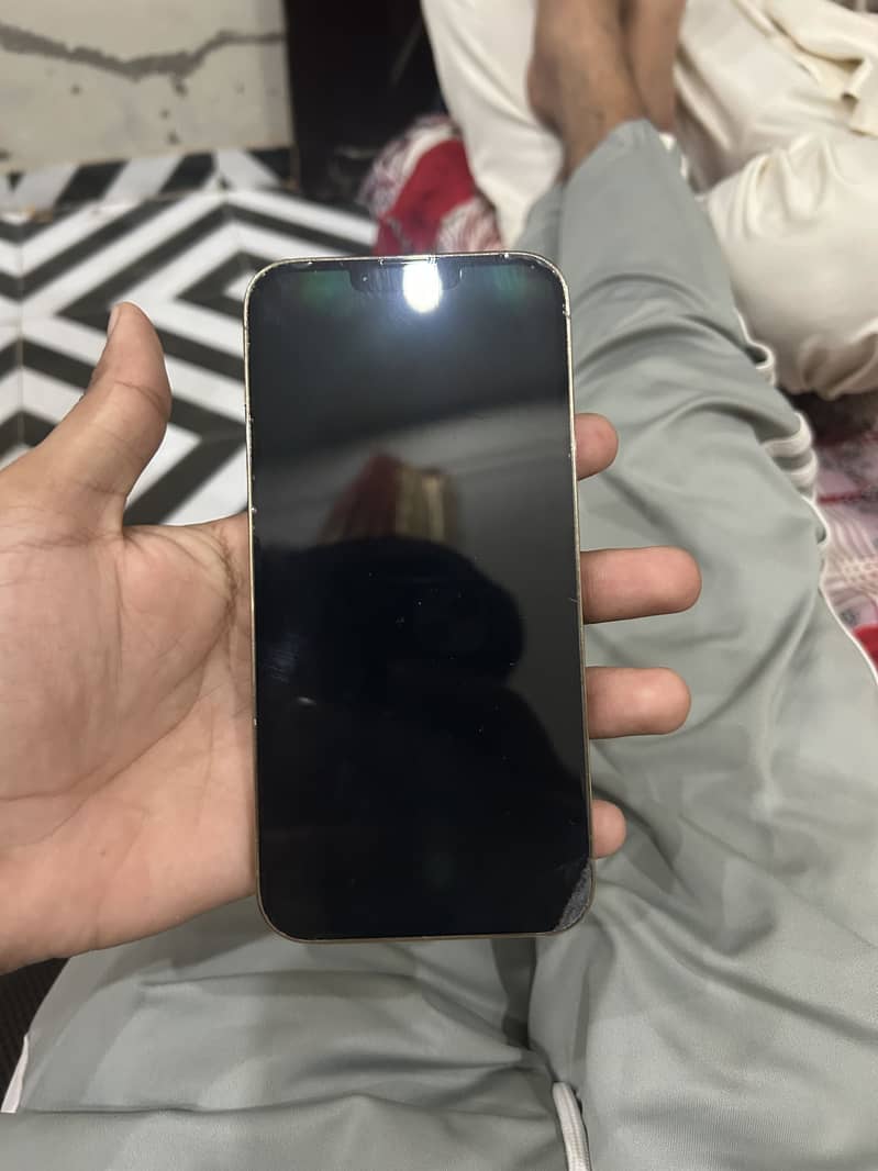 Apple iPhone 13 Pro Max 7