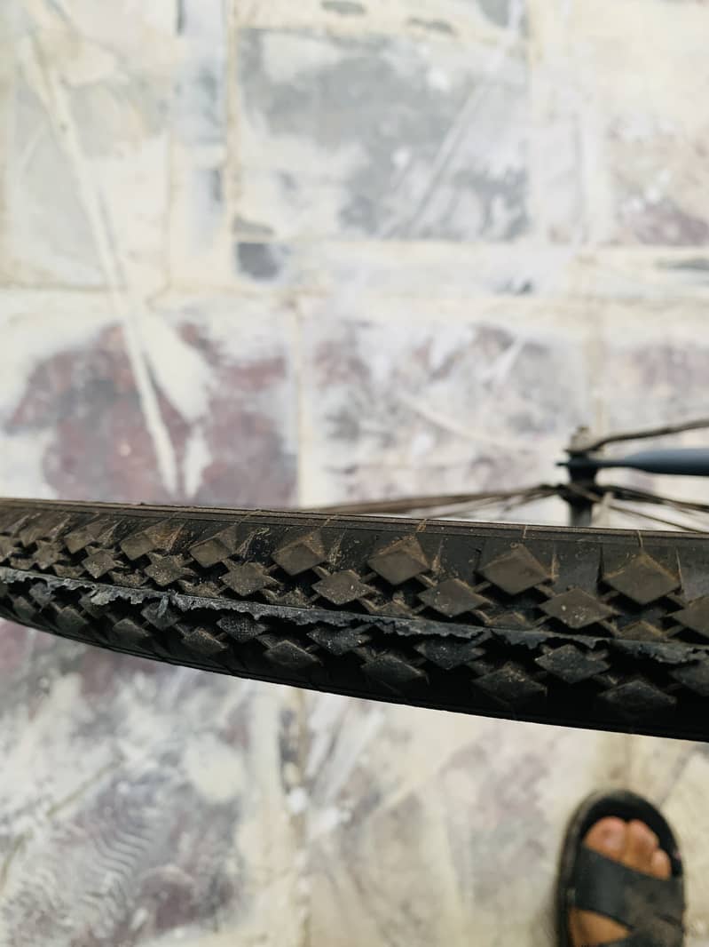 Imported cycle 24” 1