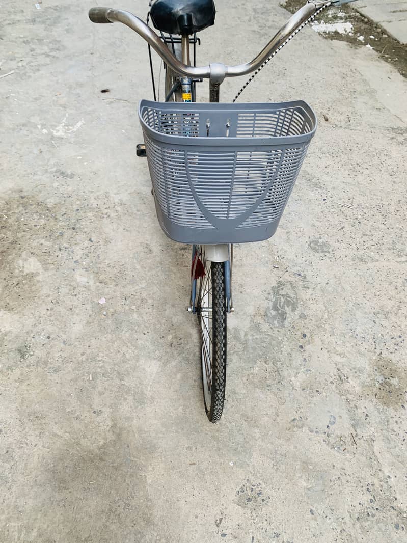 Imported cycle 24” 2