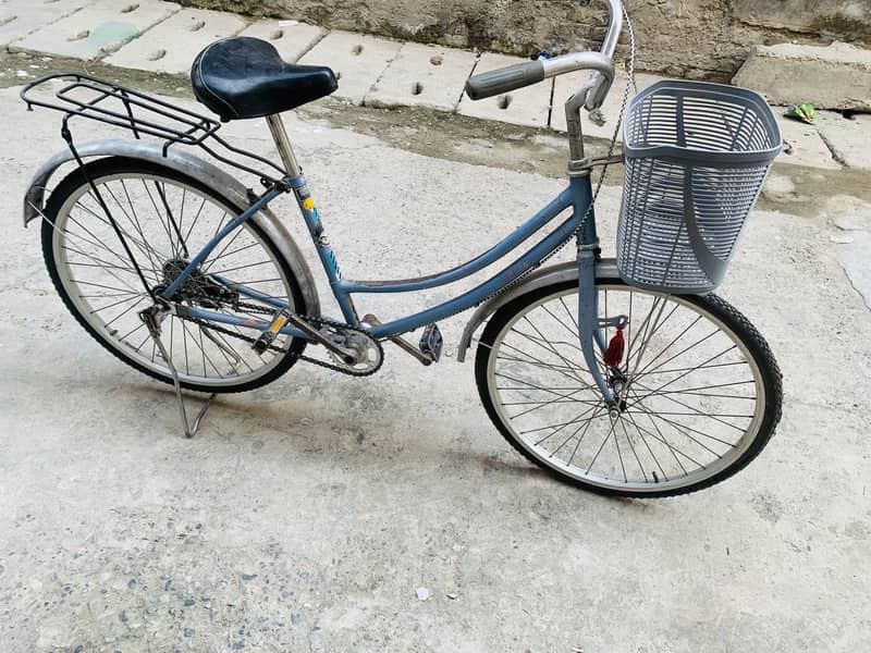 Imported cycle 24” 4
