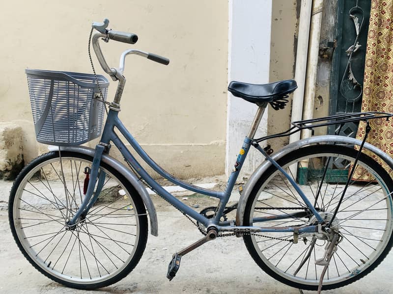 Imported cycle 24” 5