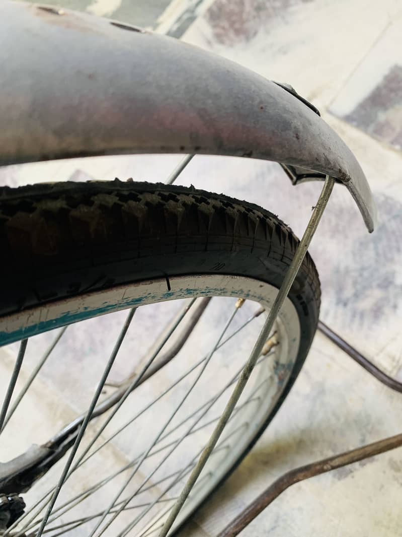 Imported cycle 24” 6