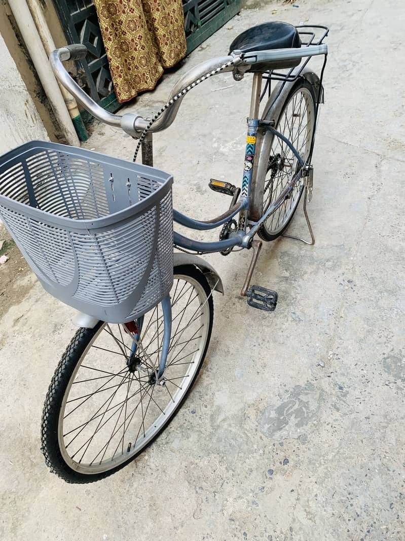 Imported cycle 24” 7