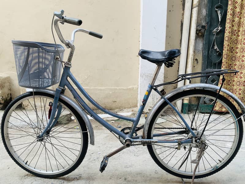Imported cycle 24” 8