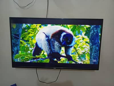 Haier Smart LED 100% condition