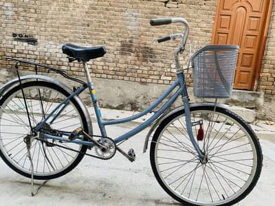 Japani cycle 24”