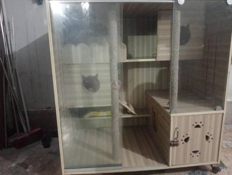 cat cage 0