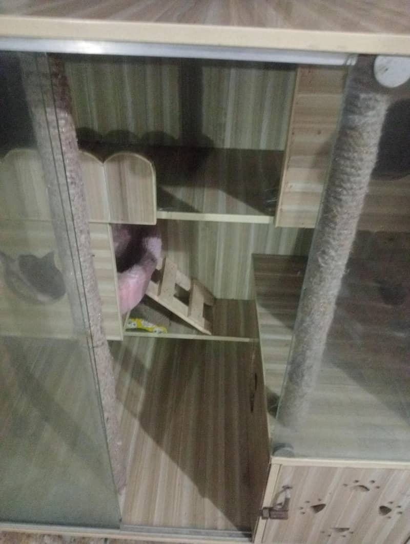 cat cage 1