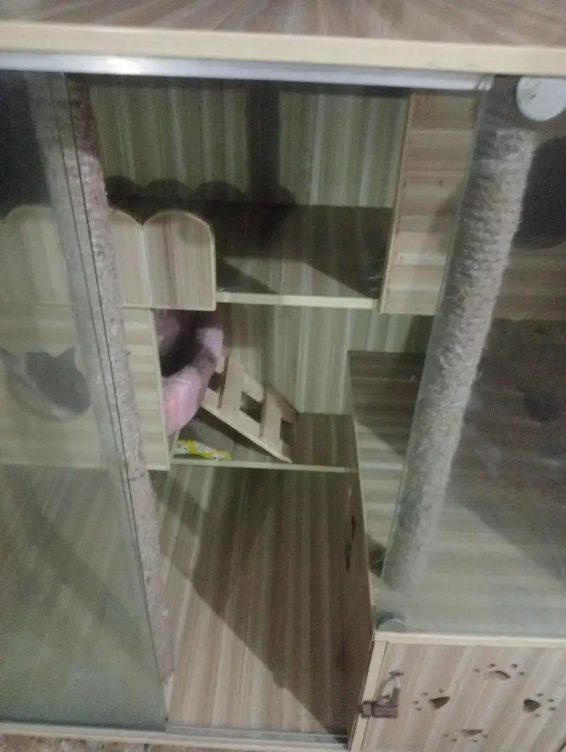 cat cage — photo 2