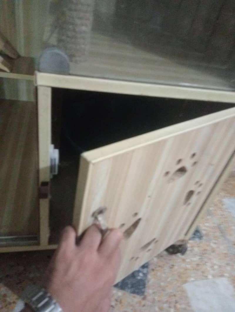 cat cage 2