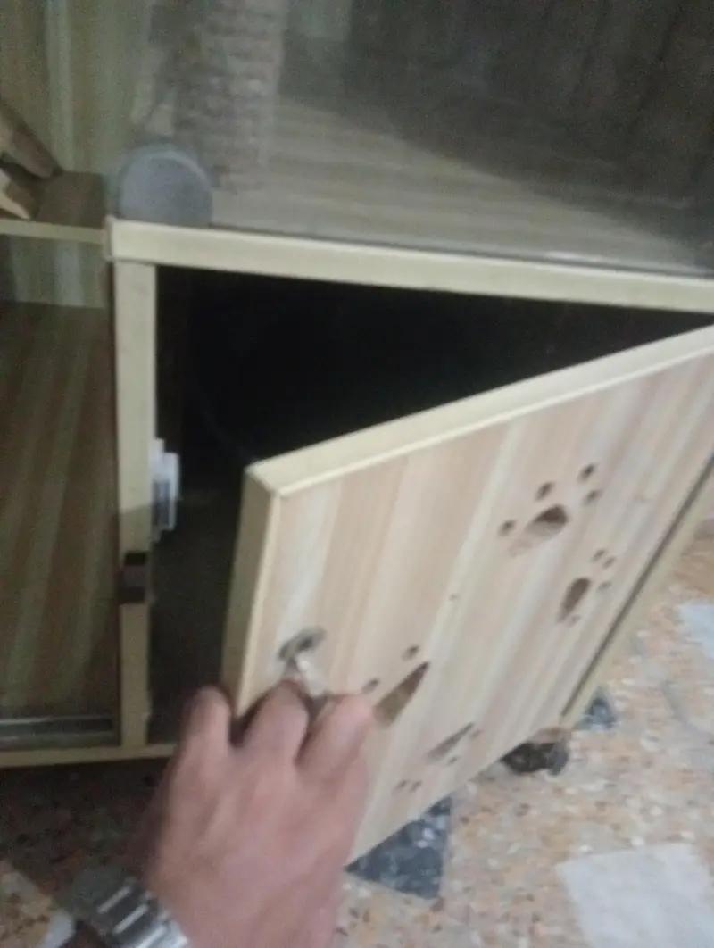 cat cage — photo 3