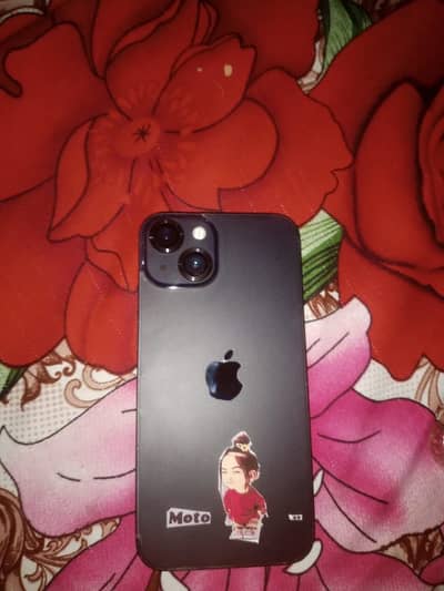 Apple iPhone 13