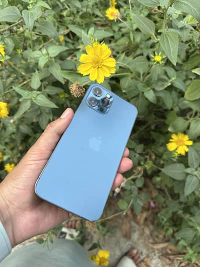 Apple iPhone 12 Pro Max