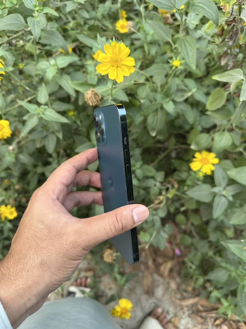 Apple iPhone 12 Pro Max 1