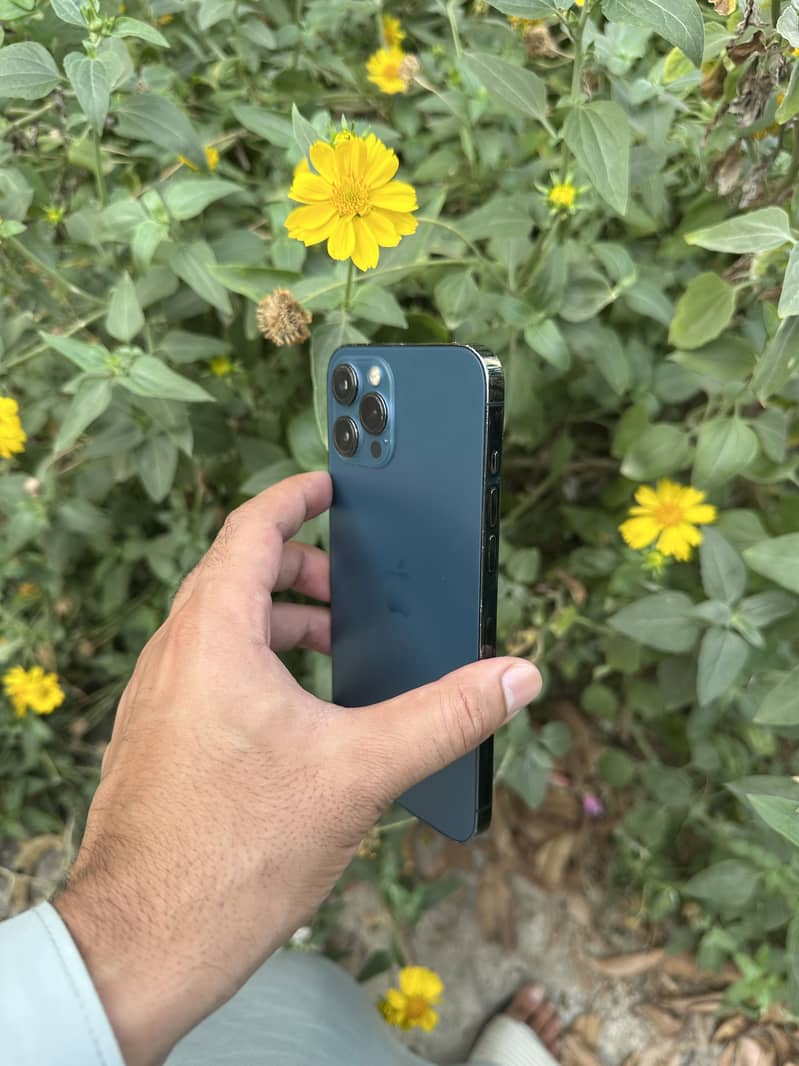 Apple iPhone 12 Pro Max 2