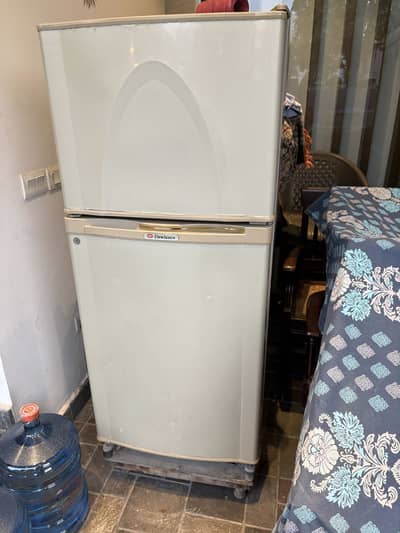 Skin colour fridge