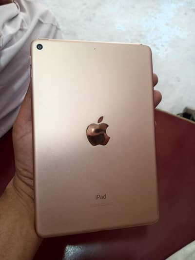 I pad mini5 256GB Golden