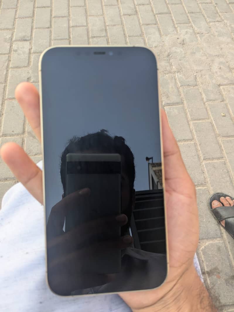 Apple iPhone 12 Pro Max 1