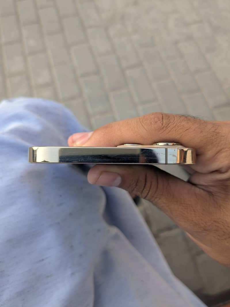 Apple iPhone 12 Pro Max 2