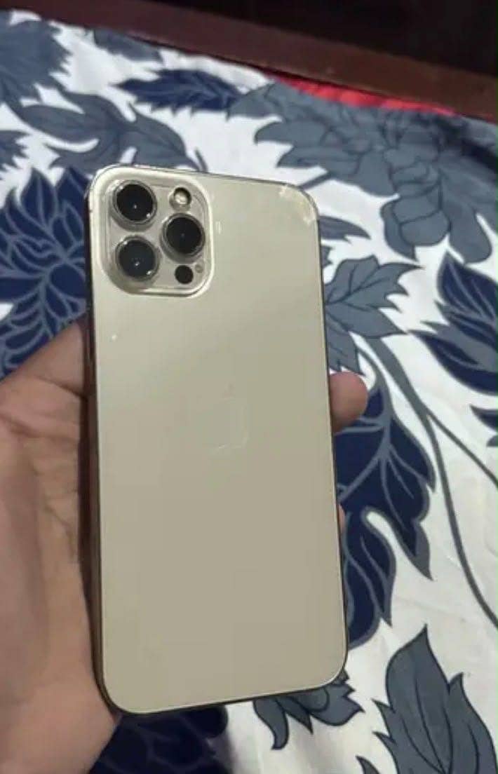 Apple iPhone 12 Pro Max 1