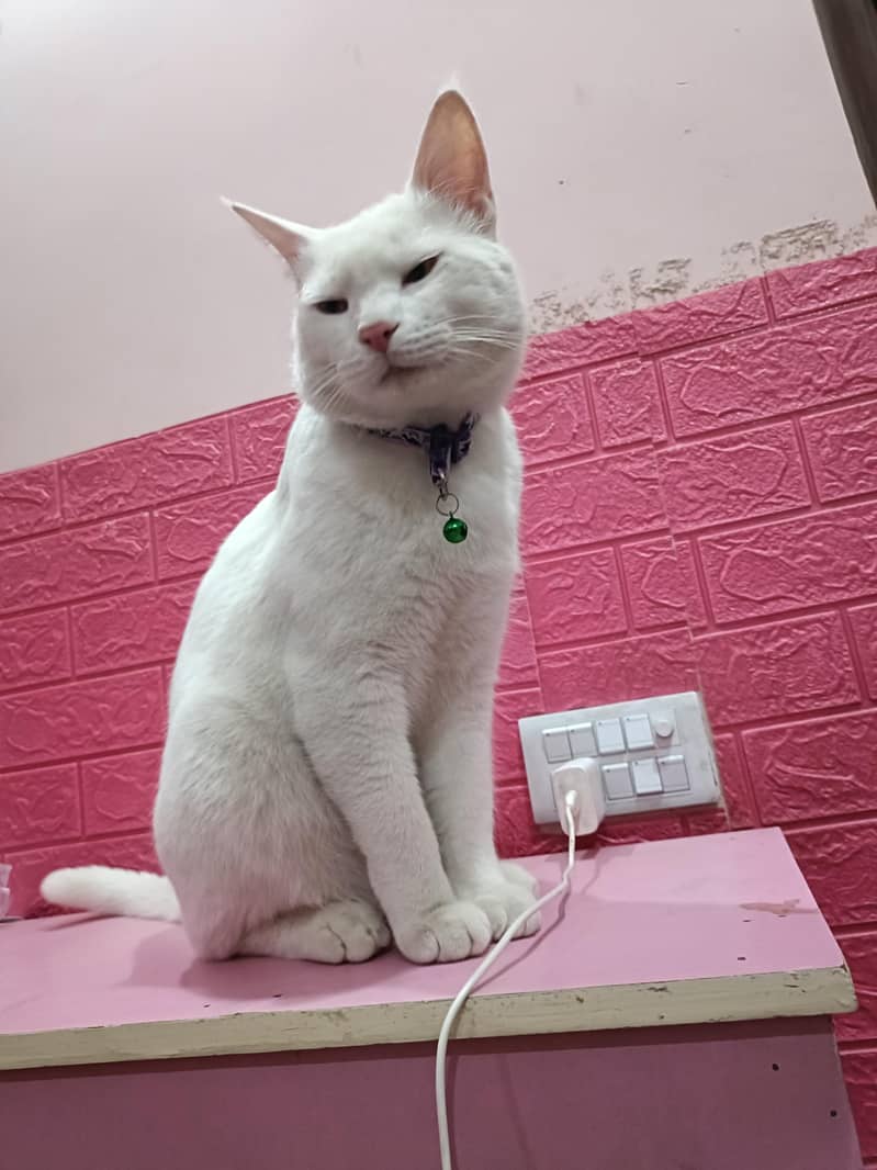 Vaccinated 0