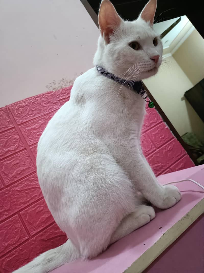 Vaccinated 2